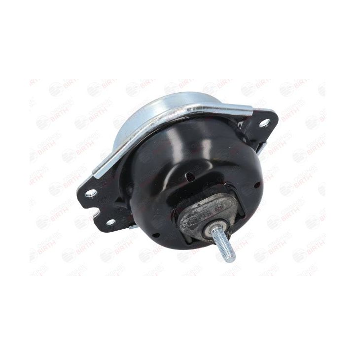 Variklio montavimas BIRTH 51431