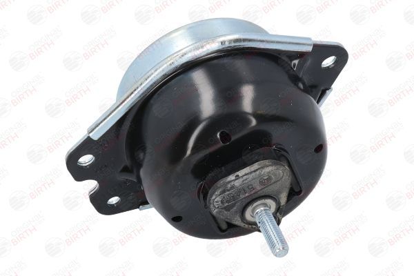 Variklio montavimas BIRTH 51431