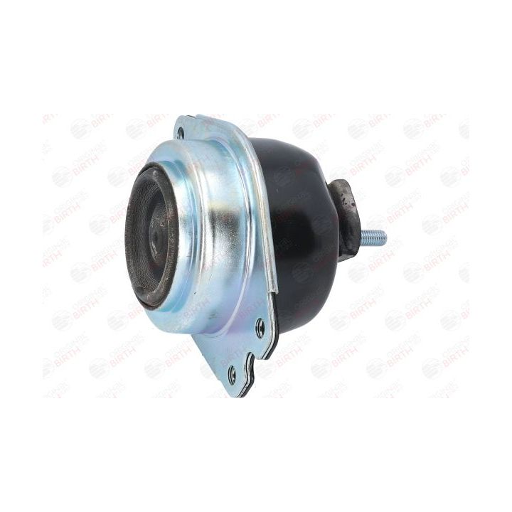 Variklio montavimas BIRTH 51431