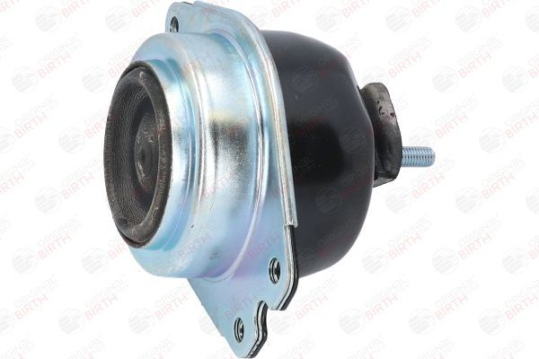 Variklio montavimas BIRTH 51431