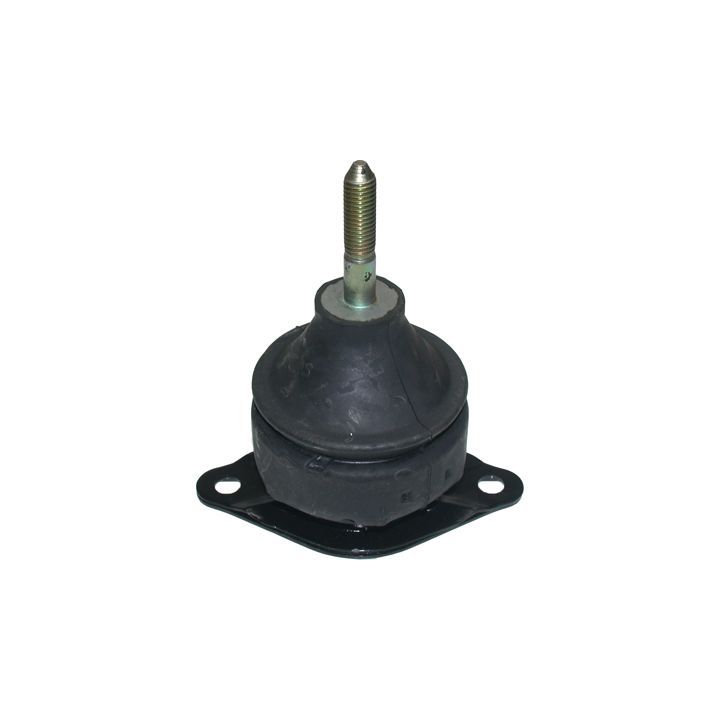 Variklio montavimas BIRTH 51471