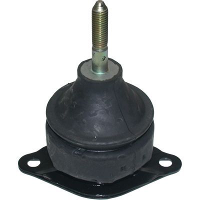 Variklio montavimas BIRTH 51471