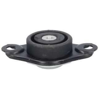 Variklio montavimas BIRTH 51474