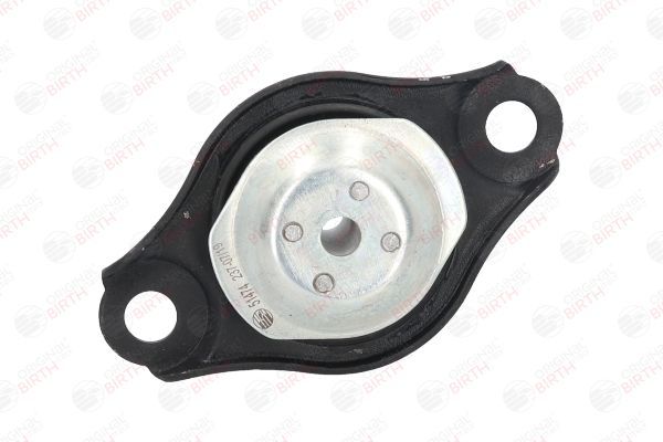 Variklio montavimas BIRTH 51474