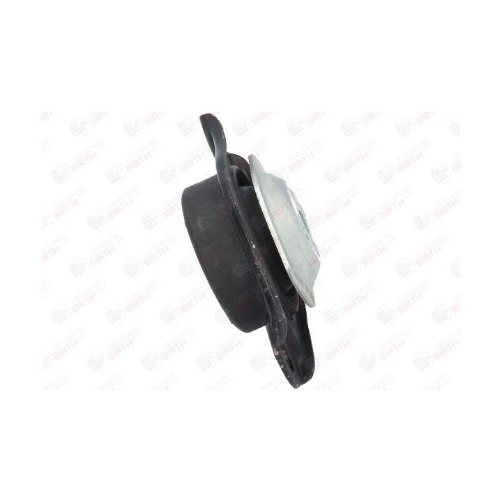 Variklio montavimas BIRTH 51474