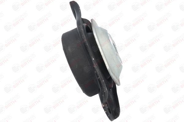 Variklio montavimas BIRTH 51474