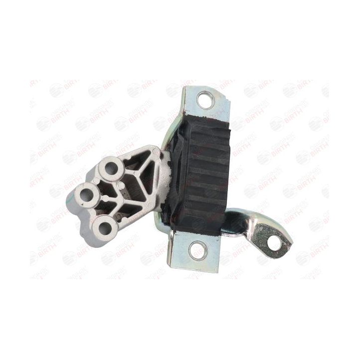 Variklio montavimas BIRTH 51475