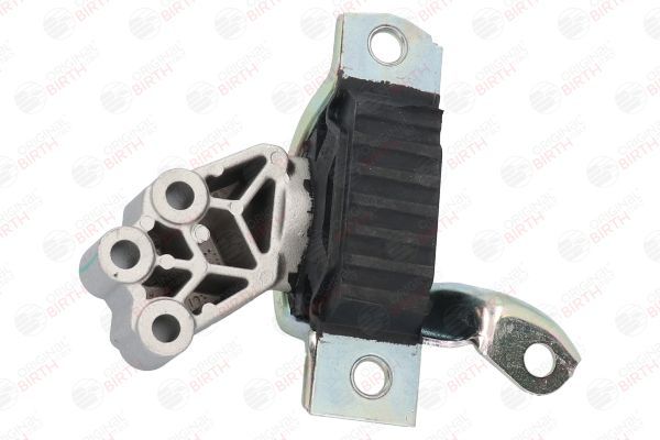 Variklio montavimas BIRTH 51475