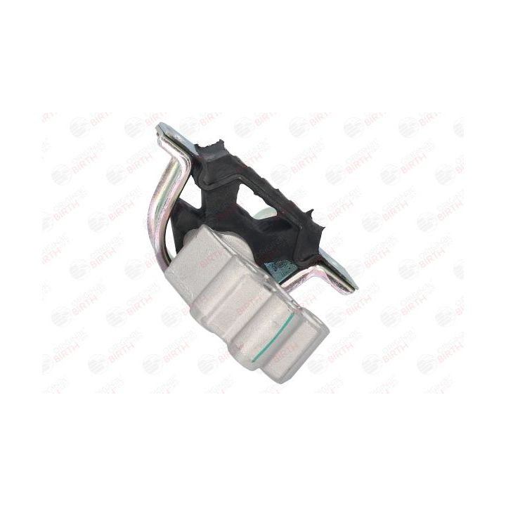 Variklio montavimas BIRTH 51475