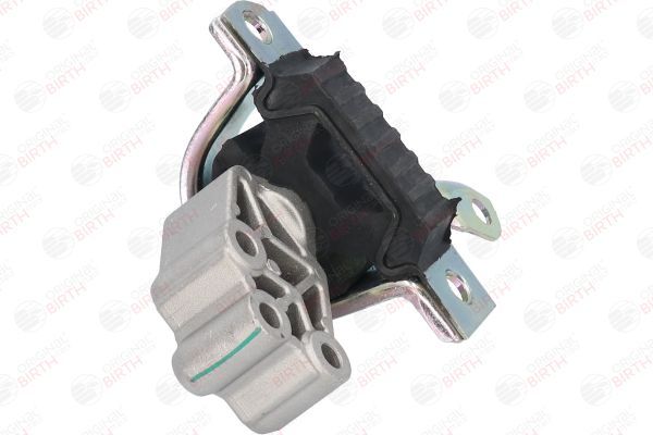 Variklio montavimas BIRTH 51475