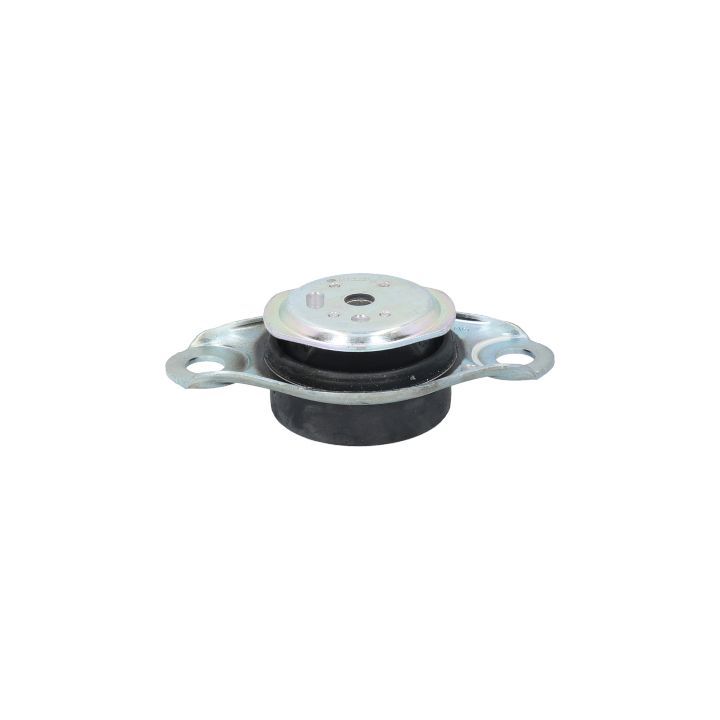 Variklio montavimas BIRTH 51476