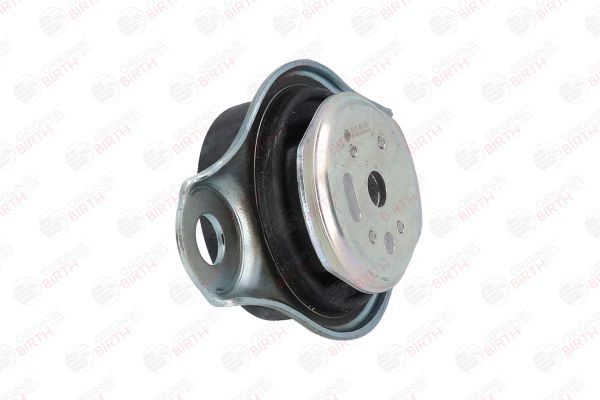 Variklio montavimas BIRTH 51476