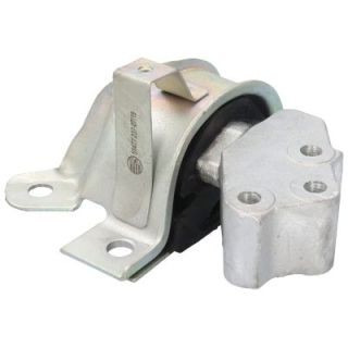 Variklio montavimas BIRTH 51477