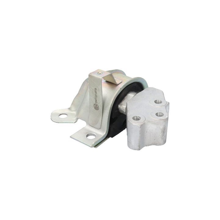 Variklio montavimas BIRTH 51477