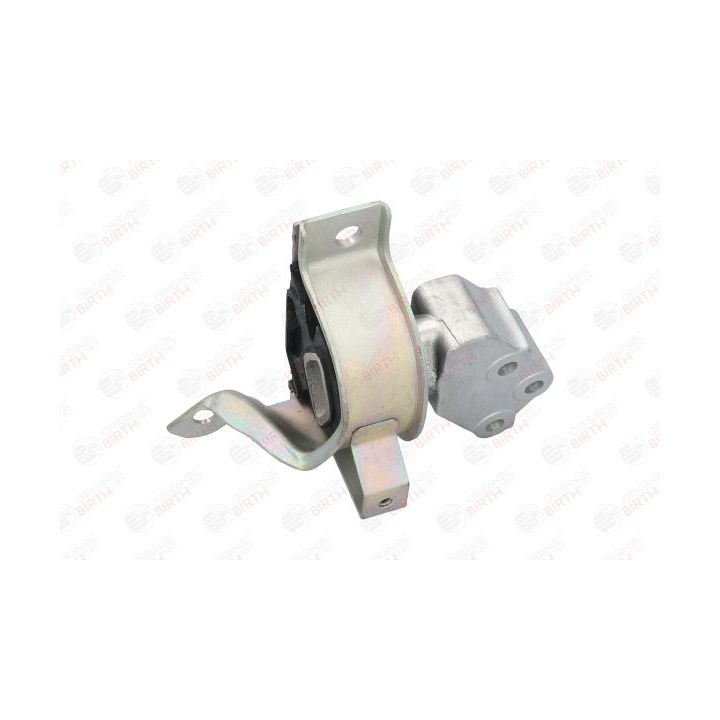 Variklio montavimas BIRTH 51477