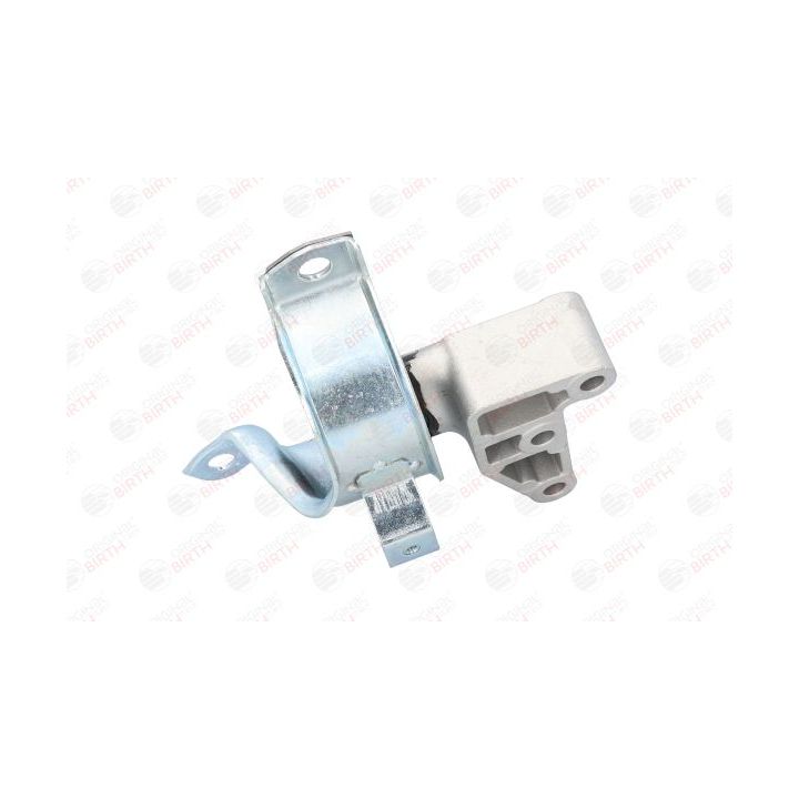 Variklio montavimas BIRTH 51478