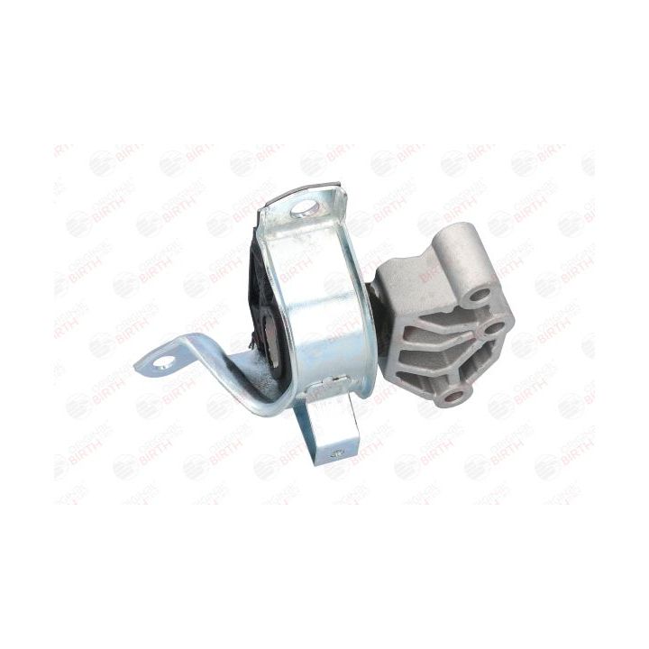 Variklio montavimas BIRTH 51479