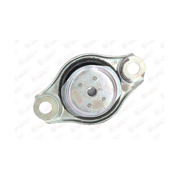 Variklio montavimas BIRTH 51481