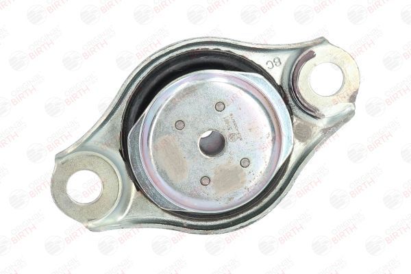 Variklio montavimas BIRTH 51481