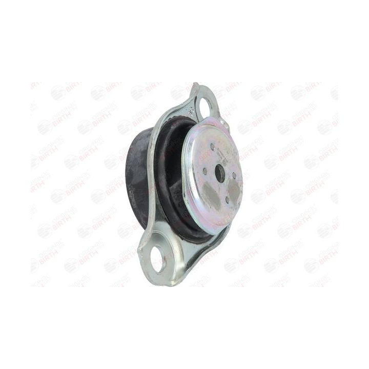 Variklio montavimas BIRTH 51481