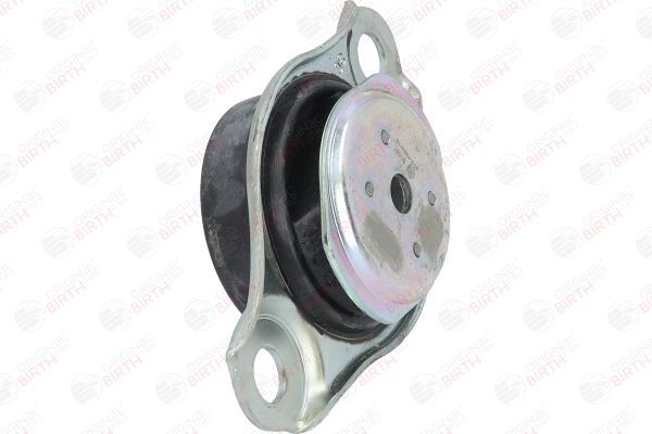 Variklio montavimas BIRTH 51481