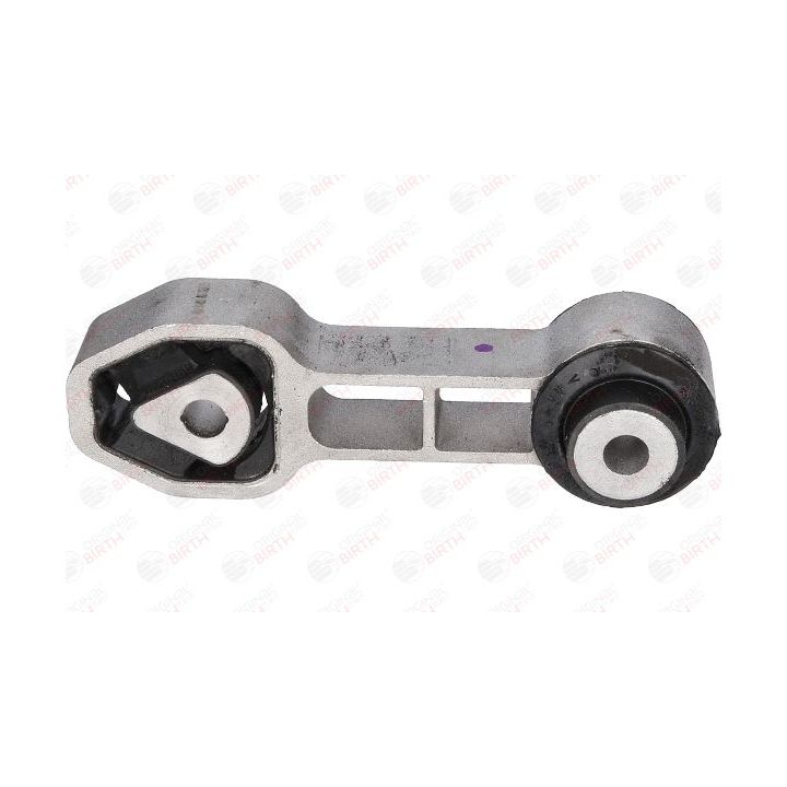 Variklio montavimas BIRTH 51482