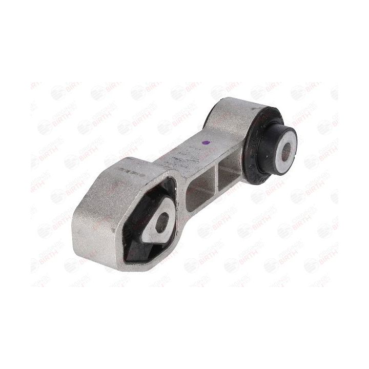 Variklio montavimas BIRTH 51482