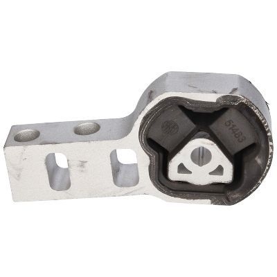 Variklio montavimas BIRTH 51483