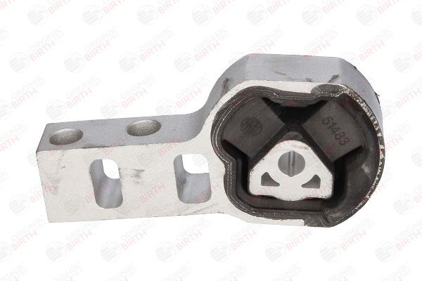 Variklio montavimas BIRTH 51483