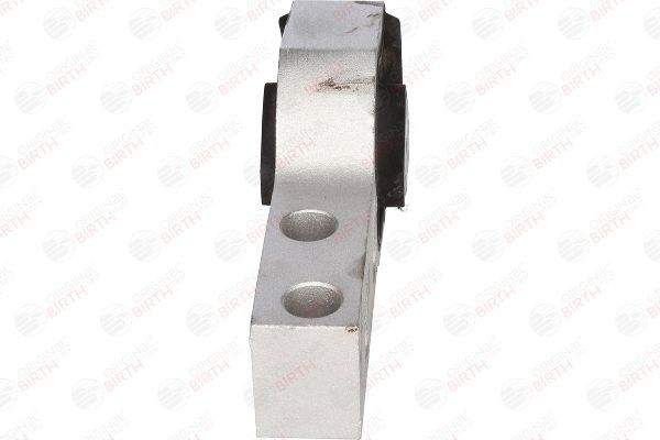 Variklio montavimas BIRTH 51483