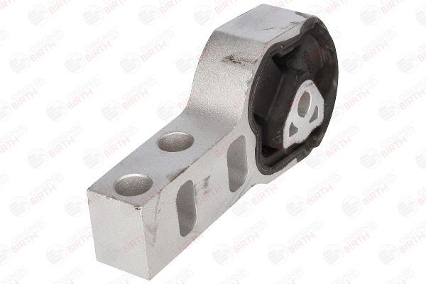 Variklio montavimas BIRTH 51483