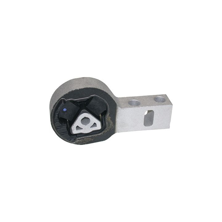 Variklio montavimas BIRTH 51484