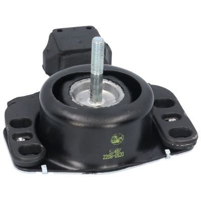 Variklio montavimas BIRTH 51487