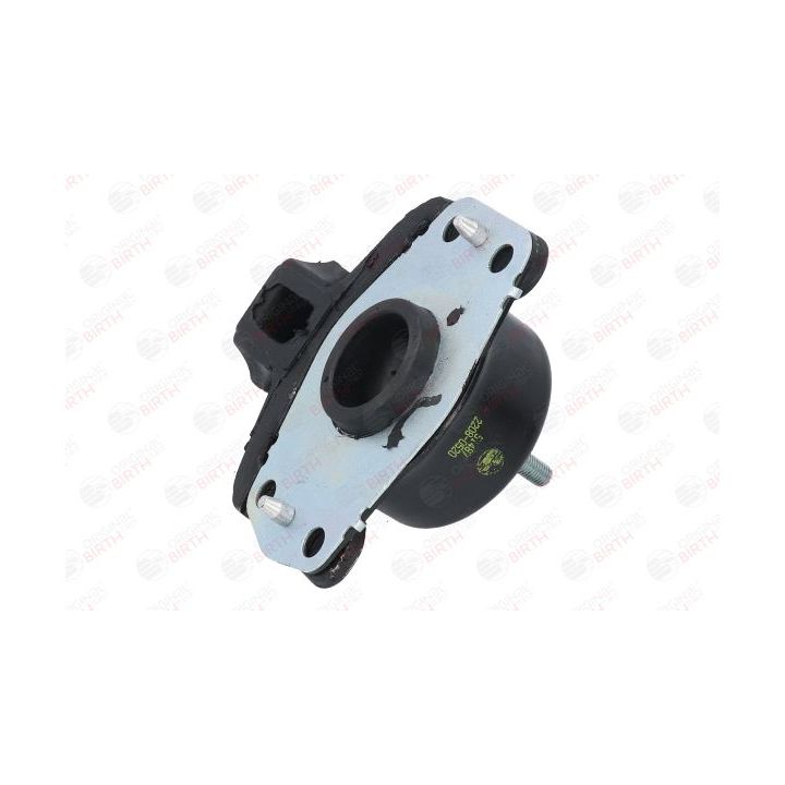 Variklio montavimas BIRTH 51487