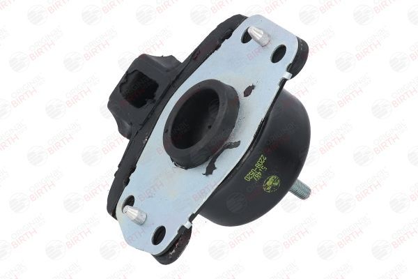 Variklio montavimas BIRTH 51487