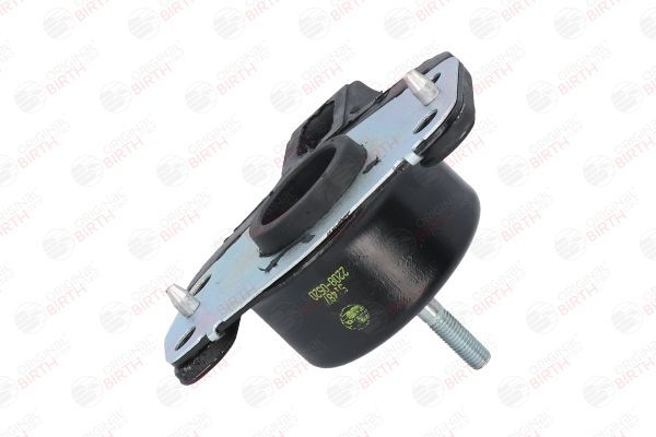 Variklio montavimas BIRTH 51487