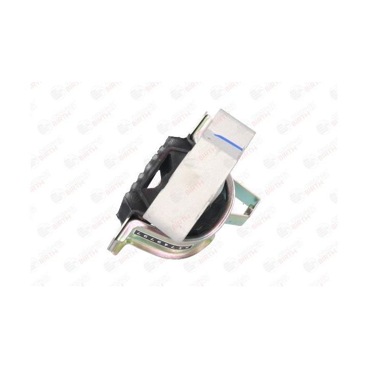 Variklio montavimas BIRTH 51490