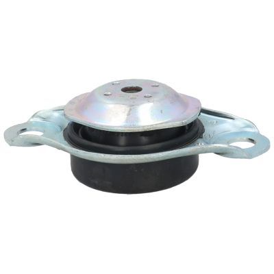 Variklio montavimas BIRTH 51494