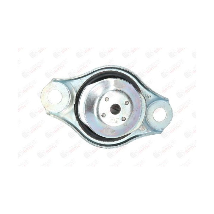 Variklio montavimas BIRTH 51494