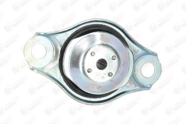 Variklio montavimas BIRTH 51494