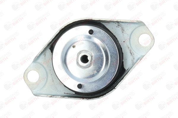 Variklio montavimas BIRTH 51495