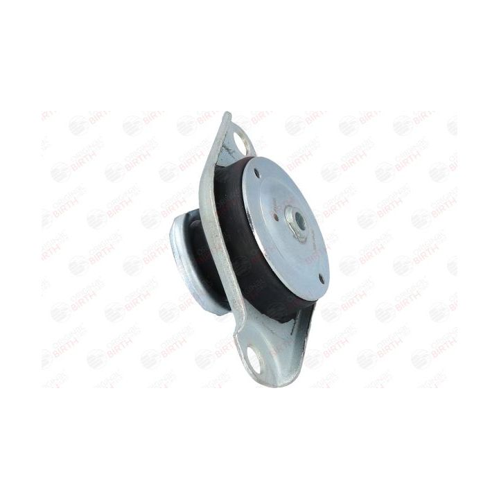 Variklio montavimas BIRTH 51495