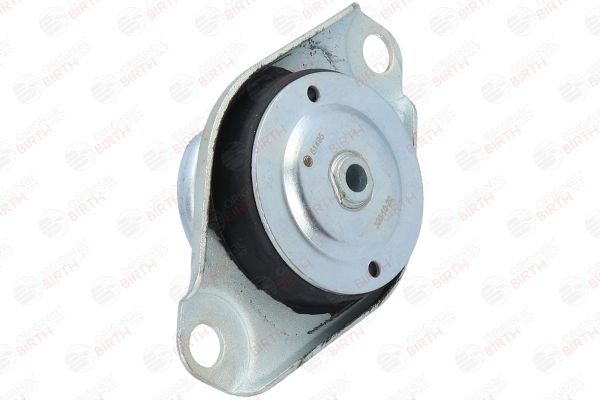 Variklio montavimas BIRTH 51495