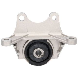 Variklio montavimas BIRTH 51496