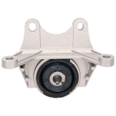 Variklio montavimas BIRTH 51496