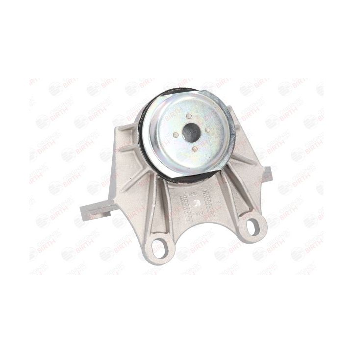 Variklio montavimas BIRTH 51496