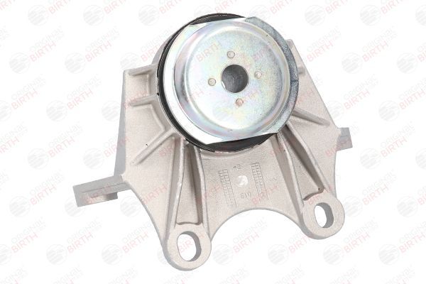 Variklio montavimas BIRTH 51496