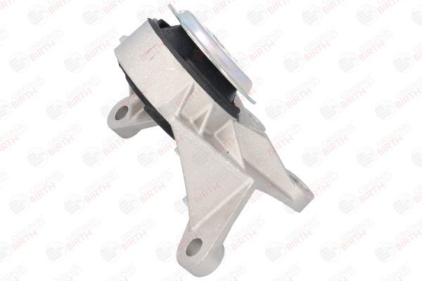 Variklio montavimas BIRTH 51496