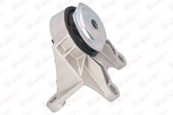 Variklio montavimas BIRTH 51496