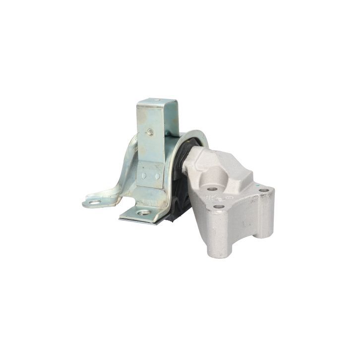 Variklio montavimas BIRTH 51499